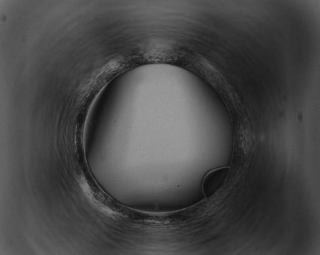 X0000051890690200507020056