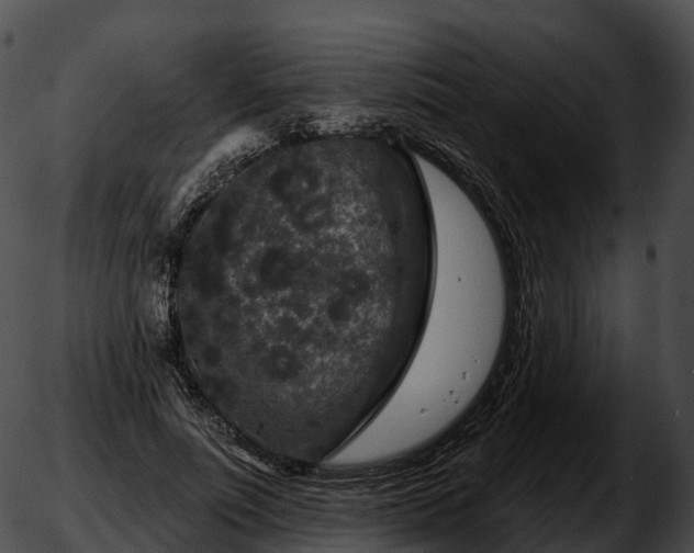 X0000051890691200507020056