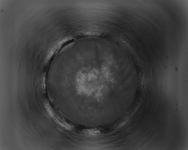 X0000051890692200507020056