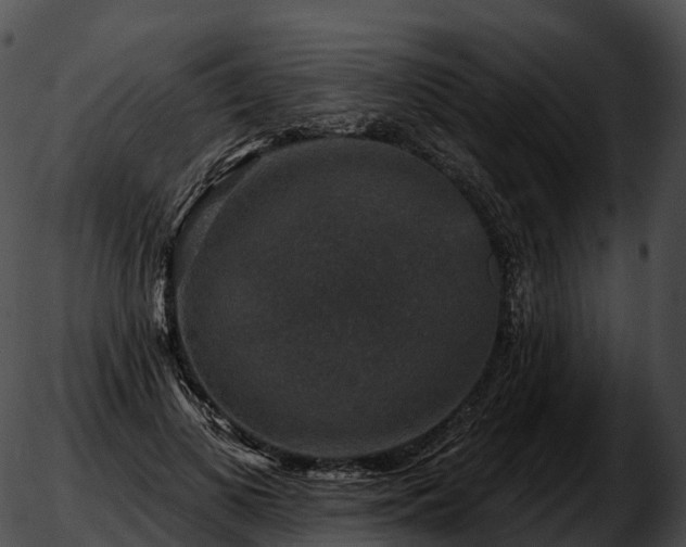 X0000051890693200507020056