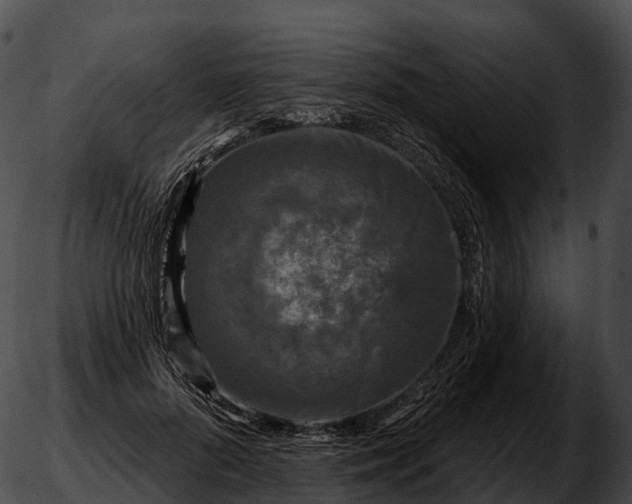 X0000051890696200507020056