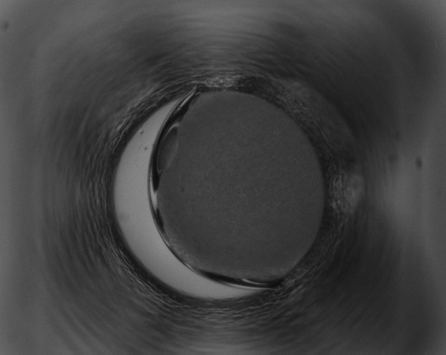 X0000051890697200507020056