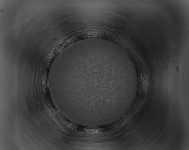 X0000051890698200507020056