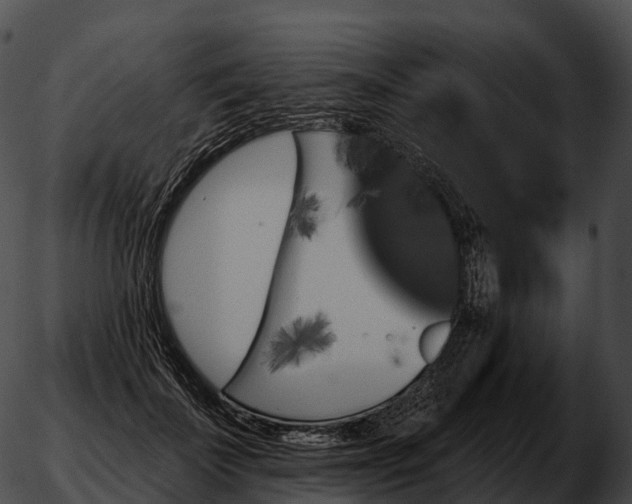 X0000051890699200507020056