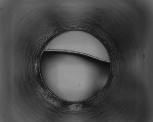 X0000051890700200507020056