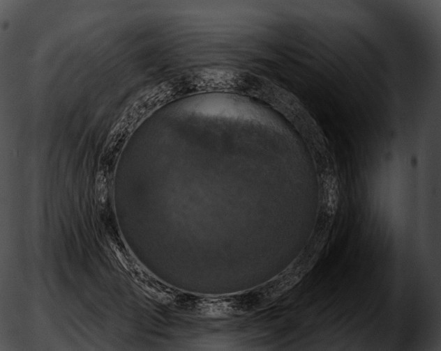 X0000051890701200507020056