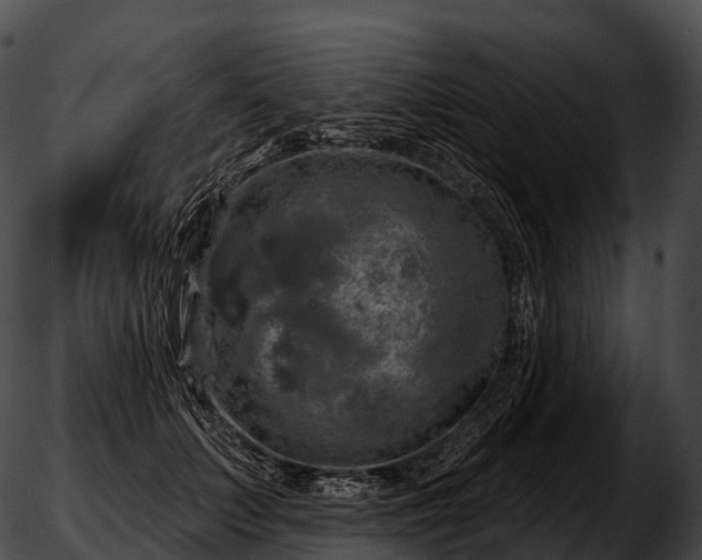 X0000051890703200507020056