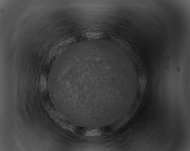 X0000051890705200507020056