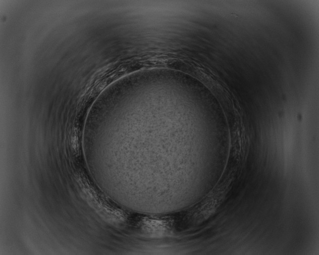 X0000051890706200507020056