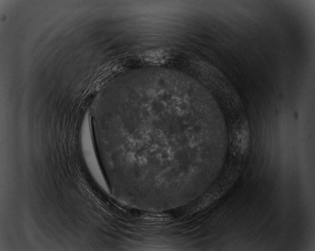 X0000051890707200507020056