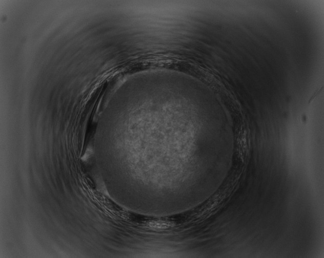 X0000051890708200507020056