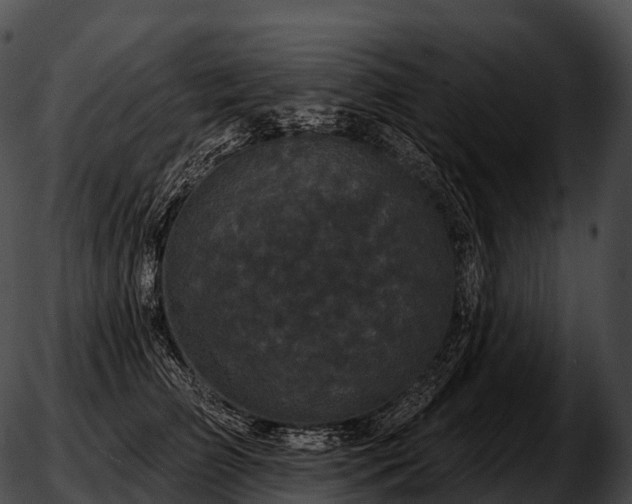 X0000051890709200507020056