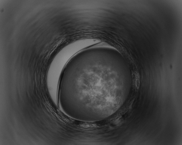 X0000051890712200507020056