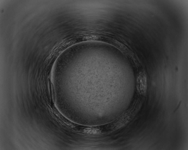 X0000051890714200507020056