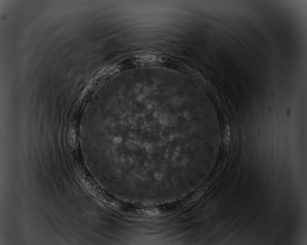 X0000051890715200507020056