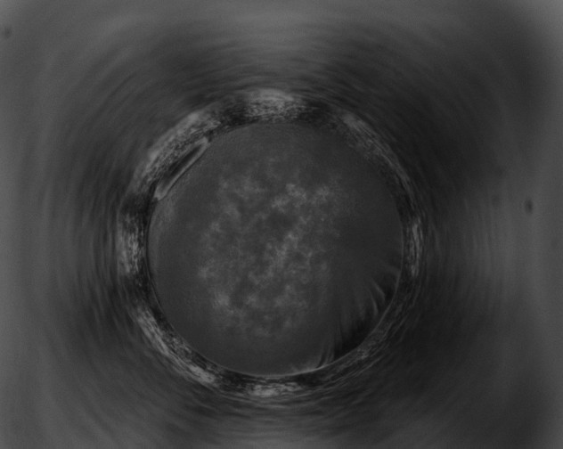 X0000051890716200507020056