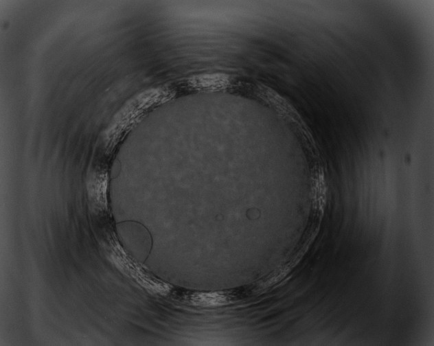 X0000051890717200507020056