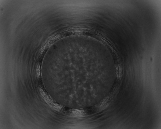 X0000051890718200507020056