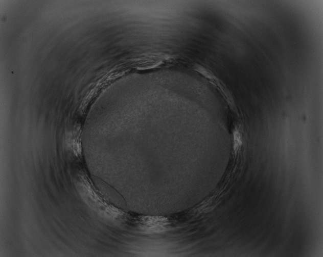 X0000051890719200507020056