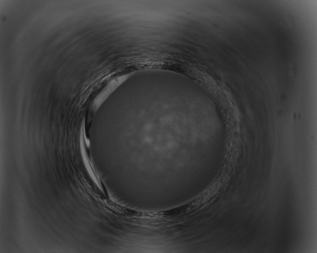 X0000051890720200507020056