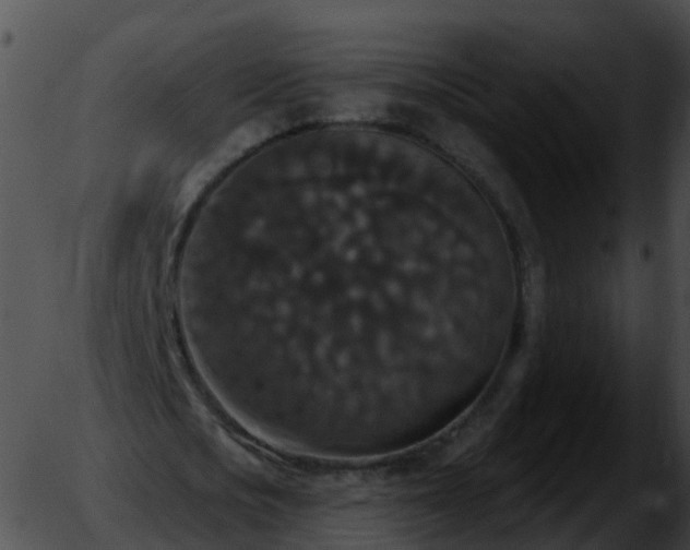 X0000051890721200507020055