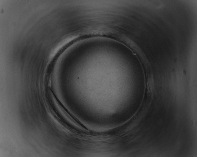 X0000051890722200507020055