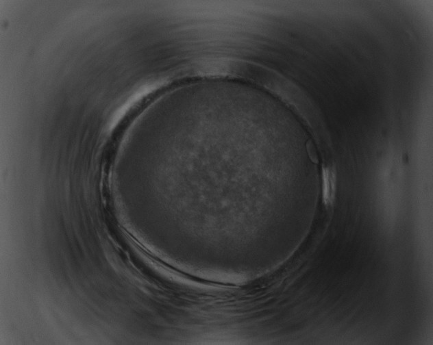 X0000051890723200507020055