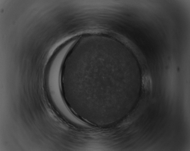 X0000051890724200507020055