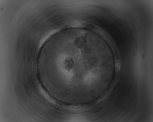 X0000051890725200507020055