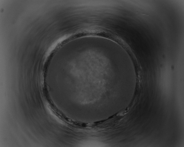 X0000051890726200507020055