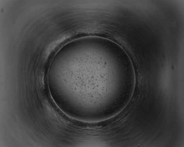 X0000051890727200507020055