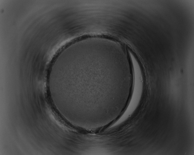 X0000051890728200507020055