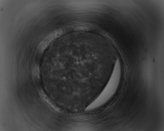 X0000051890729200507020055