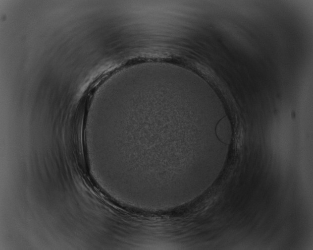 X0000051890731200507020055