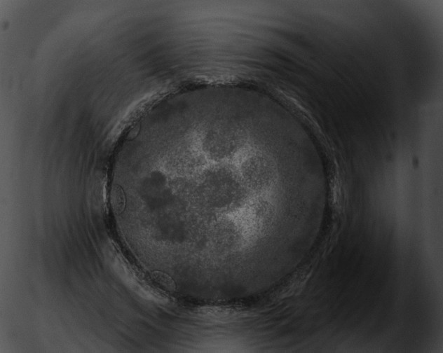 X0000051890733200507020055