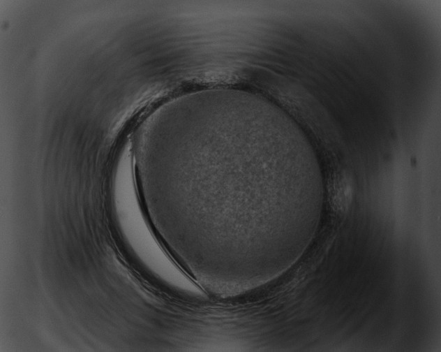 X0000051890735200507020055