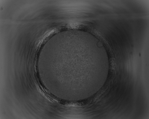 X0000051890738200507020055