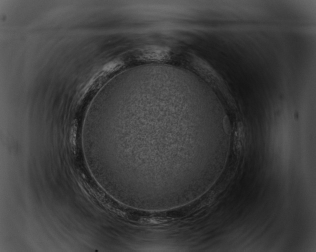 X0000051890739200507020055