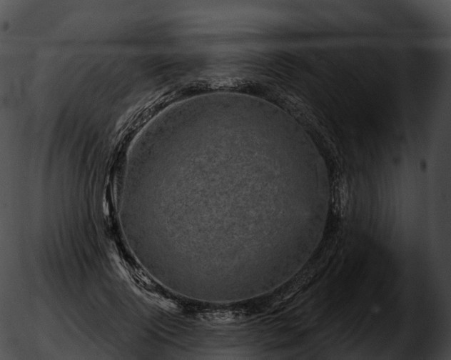 X0000051890740200507020055