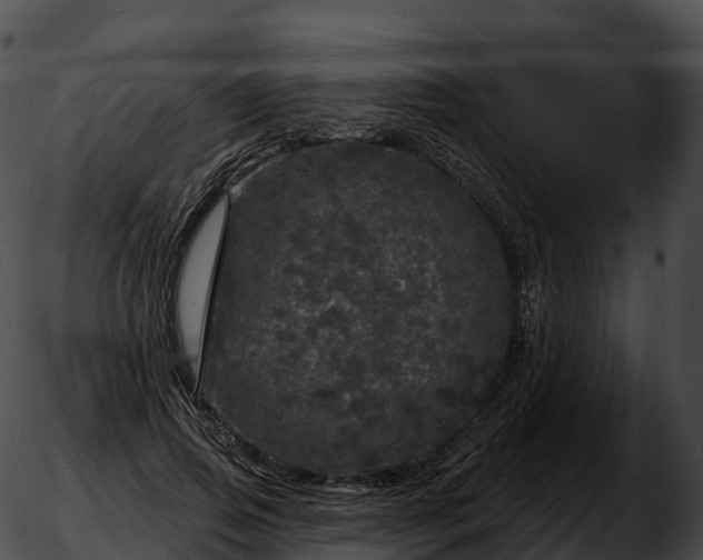 X0000051890741200507020055