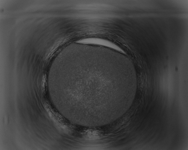 X0000051890742200507020055