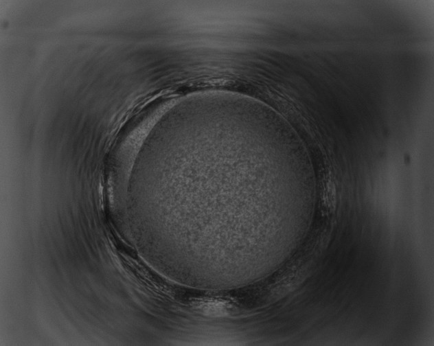 X0000051890743200507020055