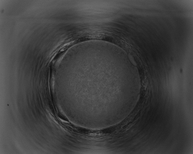 X0000051890744200507020055