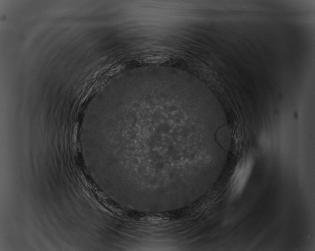 X0000051890745200507020055