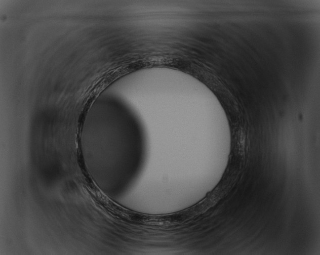 X0000051890746200507020055