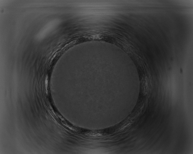 X0000051890747200507020055