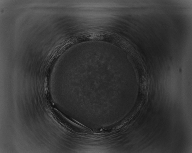 X0000051890748200507020055