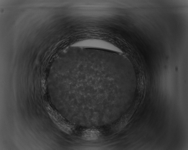 X0000051890749200507020055