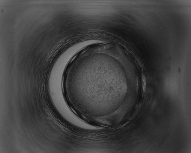 X0000051890750200507020055