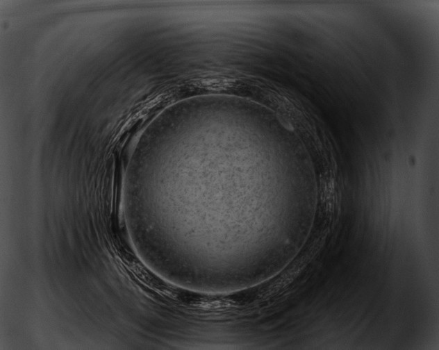 X0000051890752200507020055